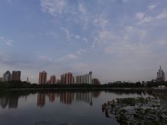-莲花池公园