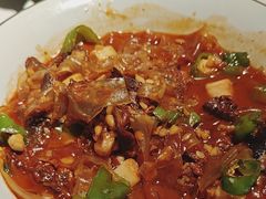 -阿五黄河大鲤鱼(纬三路店)