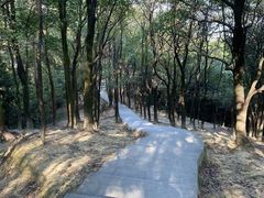 -火炉山森林公园