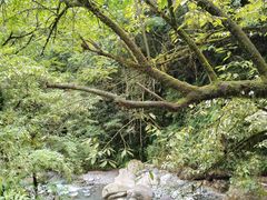 -西岭雪山大飞水景区