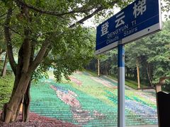 -三峡梯城