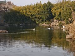 -新江湾城公园