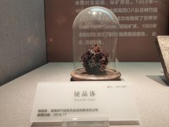 -湖南省地质博物馆