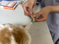 -中农大我爱我爱24h动物医院·中医针灸·猫专科·骨科医疗中心(双井店)