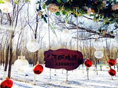 -长白岛森林公园