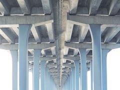 -宝安西湾红树林湿地公园