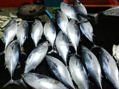-仙本那渔人码头餐厅