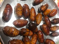 烤蚕蛹-原始泥炉烤肉(总店)