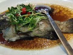 清蒸老虎斑-欢乐海岸美食联盟
