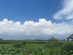 -哈素海