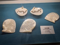 -青岛贝壳博物馆