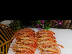 -淄博蓝海国际大饭店·蓝钻国际美食自助百汇(柳泉路店)