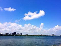 -上海滴水湖皇冠假日酒店