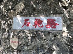 -阳台山自然风景区