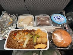 -新加坡航空公司(ION)