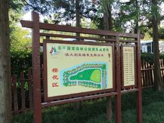 -东平国家森林公园