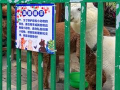 -南宁荔园维景国际酒店·荔园中餐厅