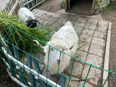 -哈尔滨北方森林动物园