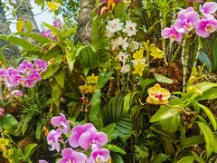 -人民公园(罗湖区)