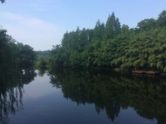 -东平国家森林公园