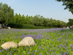 -汉长安城未央宫国家考古遗址公园