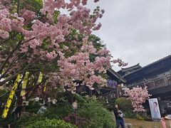 -茅山东方盐湖城景区