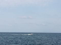 -小巴塞罗那海滩