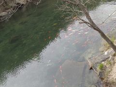 -无染寺