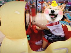 -永旺梦乐城国际商城(北清路店)