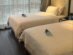 -希岸酒店(深圳北站龙华文体中心店)