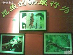 -上海昆虫博物馆