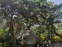 -崂山仰口游览区