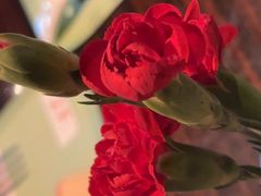 -上海东方佘山翰悦阁酒店·Vie全日制餐厅