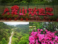 -武汉紫薇都市田园