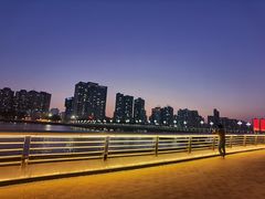 -野狸岛