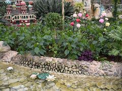 -南宫五洲植物乐园