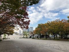 -台场海滨公园船码头