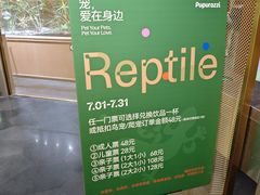 -帕帕拉兹宠物(亚洲旗舰店)