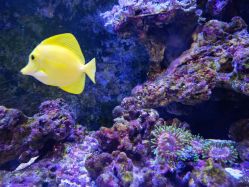 -Zoolung Zoolung动物主题公园(海信广场店)