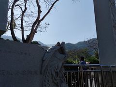 -梧桐山风景名胜区