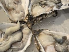 -探窝·竹笙椰子鸡(杨箕店)