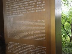-丰都鬼城名山景区