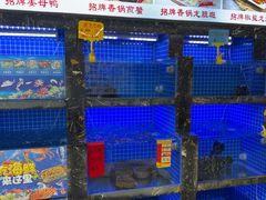 -鑫鸿达·海鲜闽菜热炒小馆(中山路店)