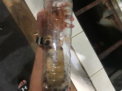 -海盗餐厅