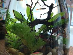 -酷乐潮玩(金桥国际店)