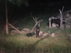 -清迈夜间动物园