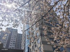 -玛格萝妮比萨屋(四平店)