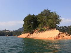 -广州市流溪河国家森林公园