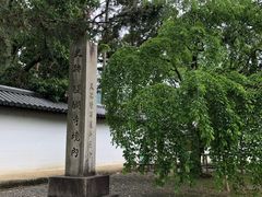 -醍醐寺