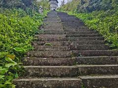 -武陵山森林公园